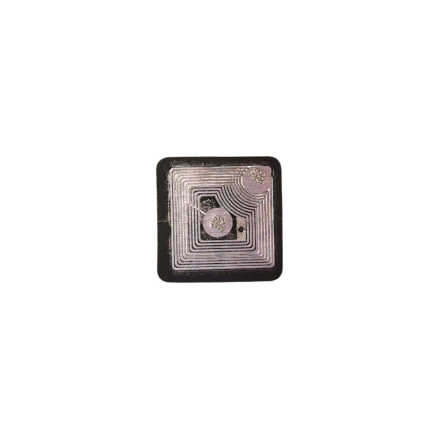 white-Photoroom (5)