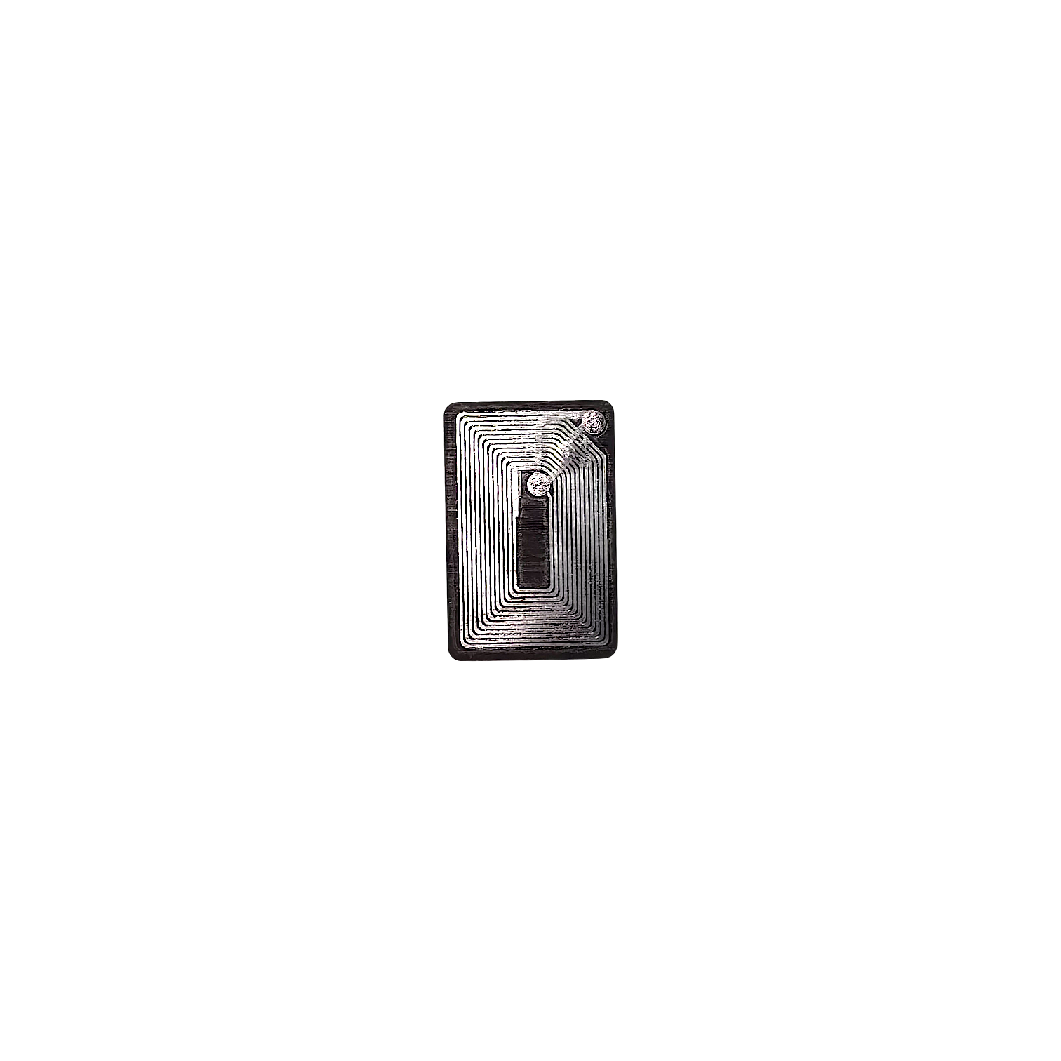 IMG_20250618_113658 (1)-Photoroom